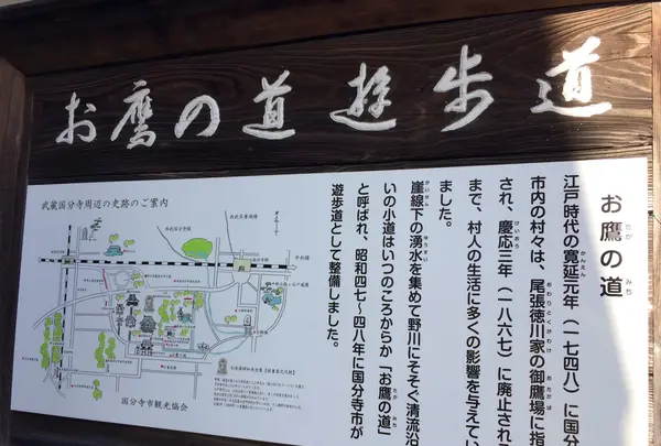 お鷹の道・真姿の池湧水群の写真・動画_image_168485