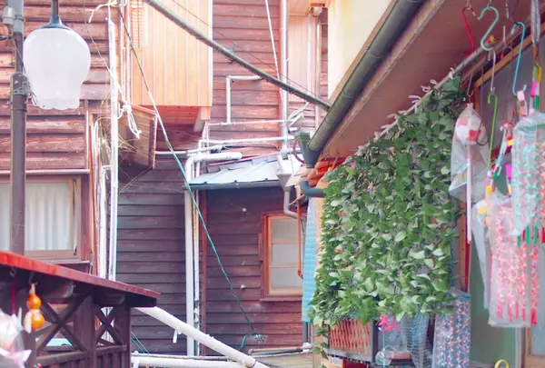 背戸屋の写真・動画_image_168506