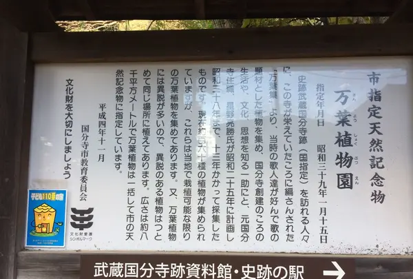 武蔵国分寺跡の写真・動画_image_168513