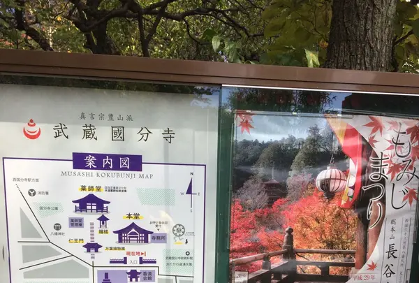 武蔵国分寺跡の写真・動画_image_168514