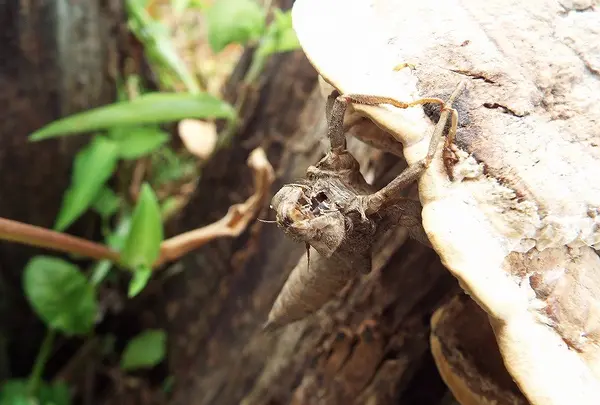金田一温泉センター「ゆうゆうゆ〜らく」の写真・動画_image_168526
