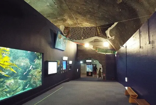 久慈地下水族科学館もぐらんぴあの写真・動画_image_168537