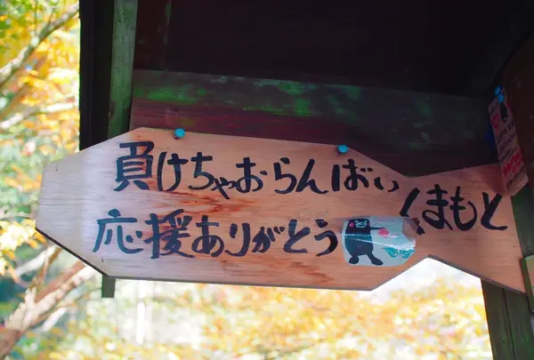 紅葉橋の写真・動画_image_168559