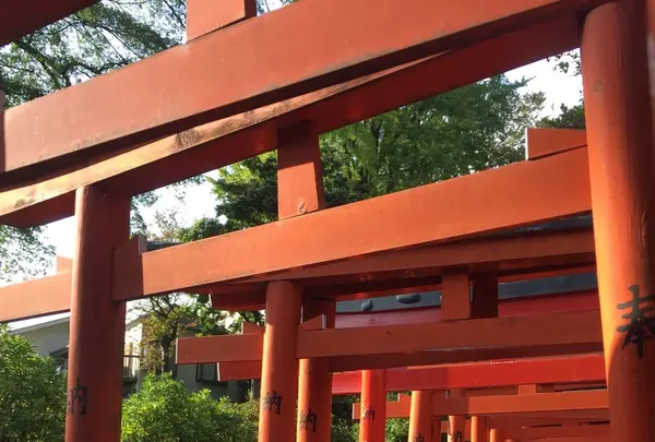 根津神社の写真・動画_image_168741