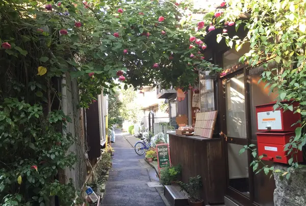 ボンジュールモジョモジョ（Bonjour mojo2）の写真・動画_image_168745