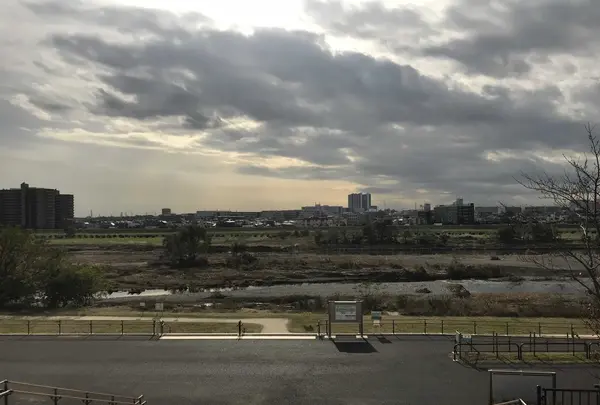 スターバックスコーヒー 二子玉川公園店の写真・動画_image_168811
