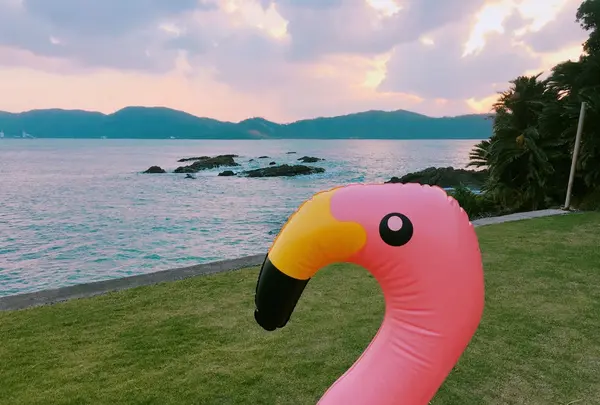 HOLLY CAMPの写真・動画_image_168838