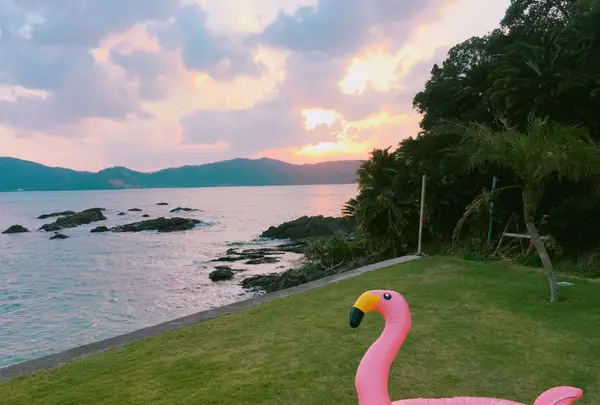 HOLLY CAMPの写真・動画_image_168839