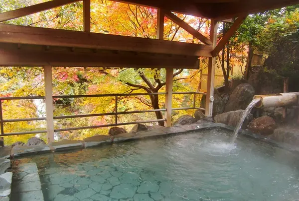 秩父温泉・満願の湯の写真・動画_image_168991