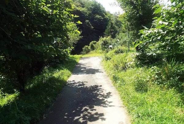 大柄沢キリシタン洞窟の写真・動画_image_169039