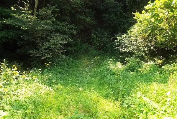 大柄沢キリシタン洞窟の写真・動画_image_169040