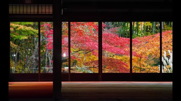 南禅寺の写真・動画_image_169085