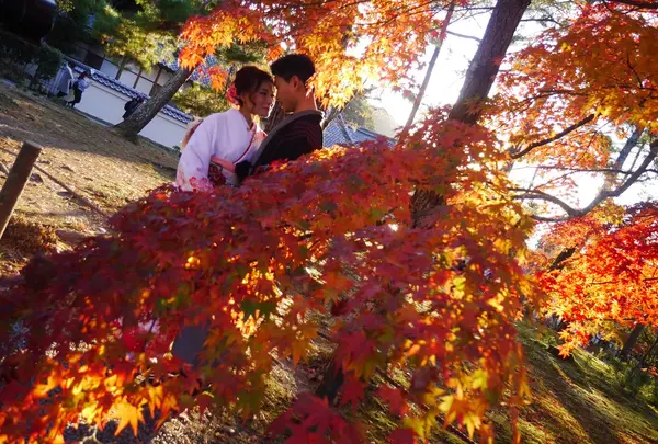 南禅寺の写真・動画_image_169091