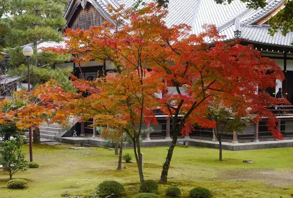 大覚寺の写真・動画_image_169110