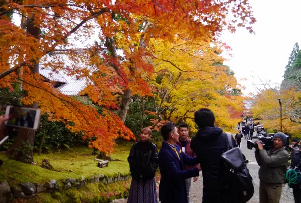 二尊院の写真・動画_image_169115