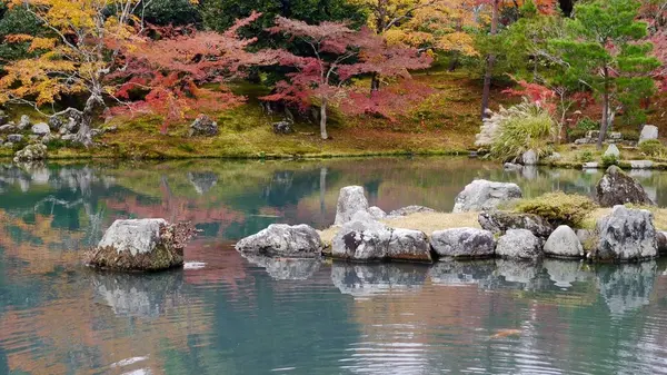 天龍寺の写真・動画_image_169121