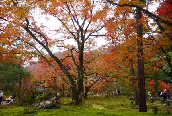 宝厳院の写真・動画_image_169170