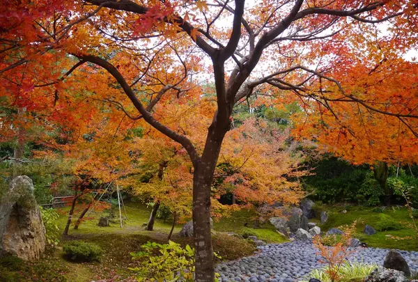 宝厳院の写真・動画_image_169175