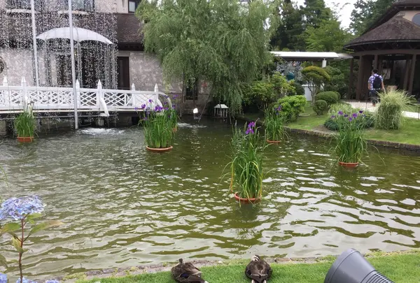 箱根ガラスの森美術館の写真・動画_image_169287