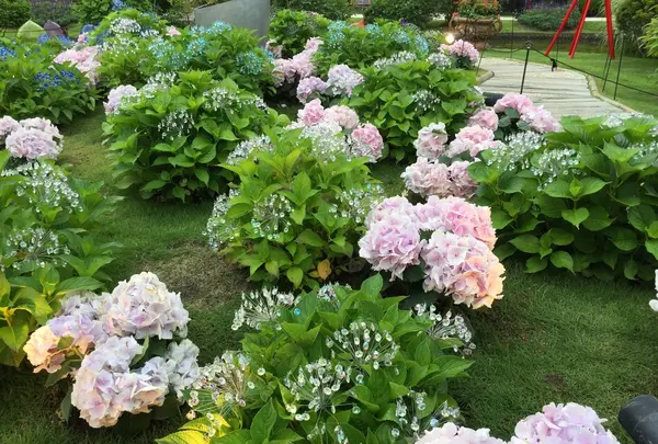 箱根ガラスの森美術館の写真・動画_image_169288