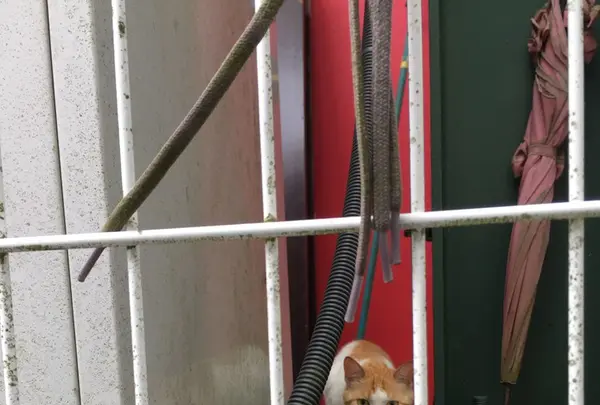 田むら銀かつ亭の写真・動画_image_169291