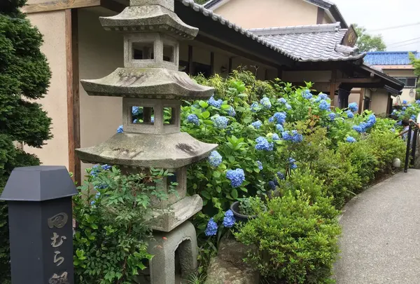 田むら銀かつ亭の写真・動画_image_169292