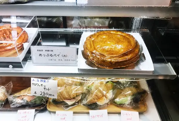 共楽園・林檎の樹の写真・動画_image_169399