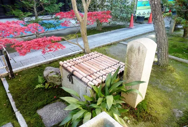 退耕庵の写真・動画_image_169447