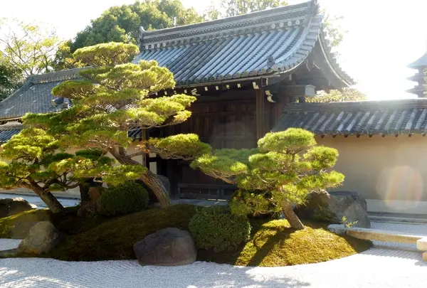 観智院の写真・動画_image_169448