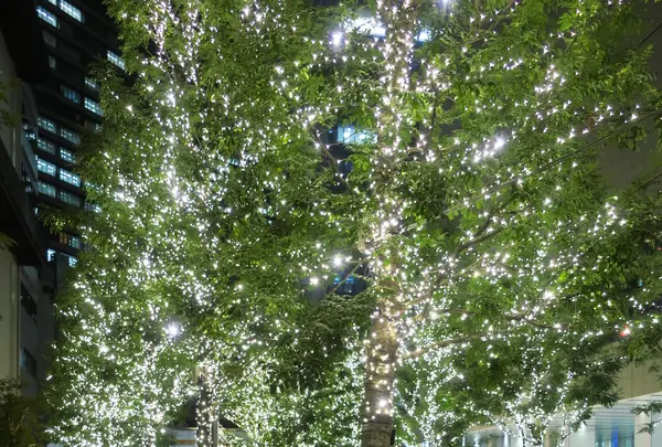 名駅4丁目9−8の写真・動画_image_169506