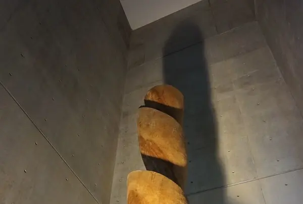 奇跡の星の植物館の写真・動画_image_169562