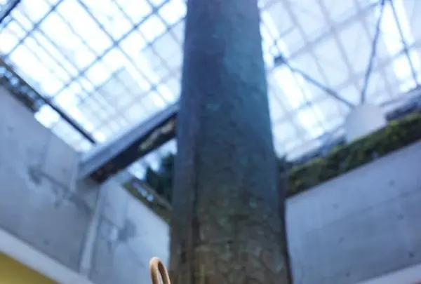 奇跡の星の植物館の写真・動画_image_169566