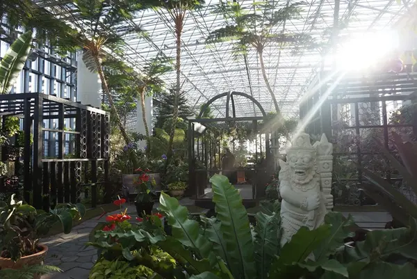 奇跡の星の植物館の写真・動画_image_169571