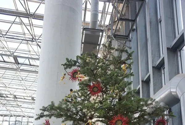 奇跡の星の植物館の写真・動画_image_169578