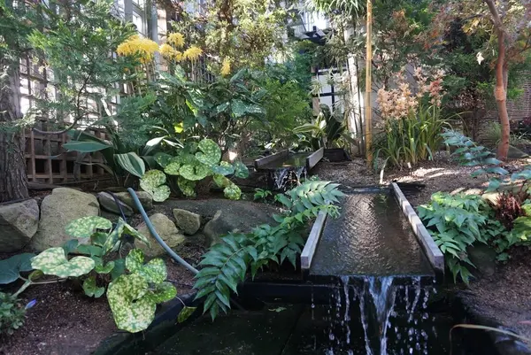 奇跡の星の植物館の写真・動画_image_169580