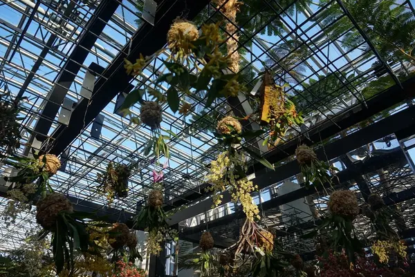 奇跡の星の植物館の写真・動画_image_169585