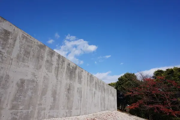 本福寺の写真・動画_image_169595