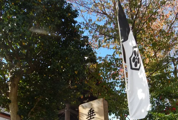 垂井の泉の写真・動画_image_169712