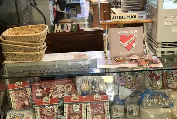 ステカ&モジョルの写真・動画_image_169768