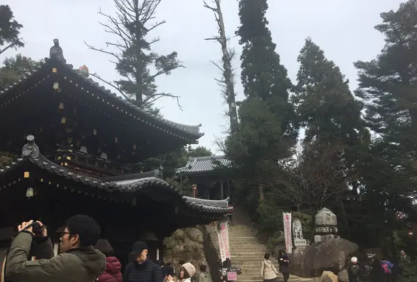 弥山の写真・動画_image_169798