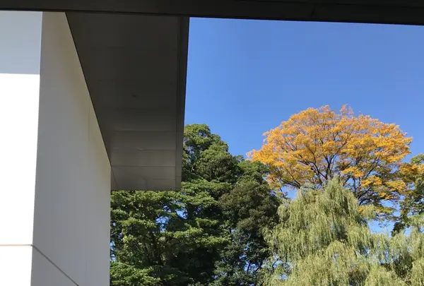 鈴木大拙館の写真・動画_image_169827