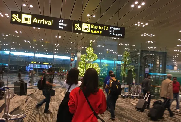 シンガポール・チャンギ国際空港（Singapore Changi International Airport）の写真・動画_image_169859