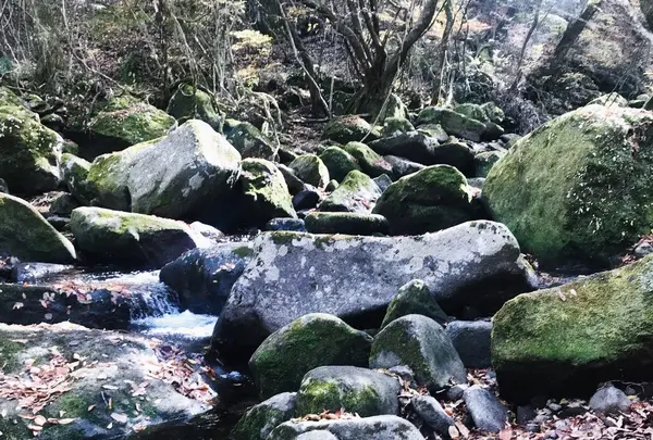 マゼノ渓谷の写真・動画_image_170022