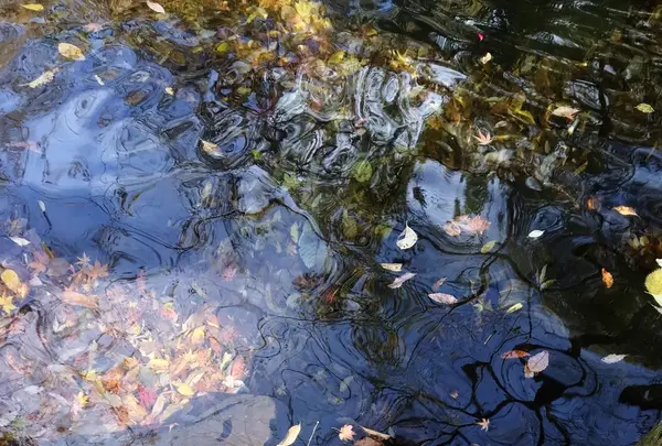 マゼノ渓谷の写真・動画_image_170043