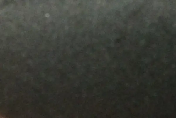 23区の写真・動画_image_170147