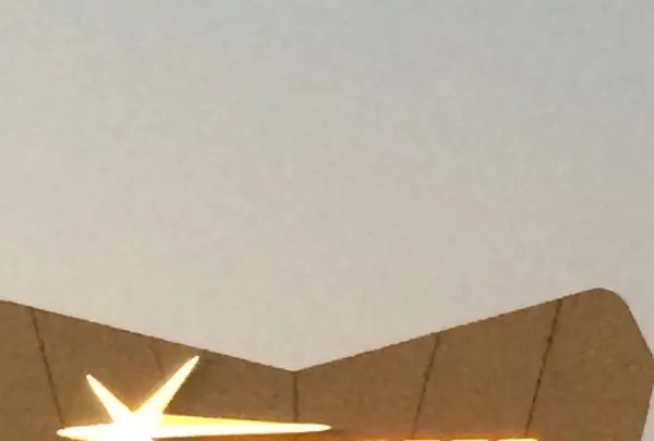 23区の写真・動画_image_170148