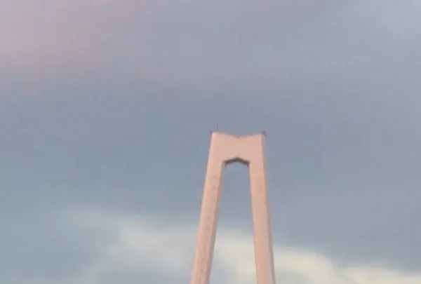 伊勢湾岸自動車道の写真・動画_image_170152