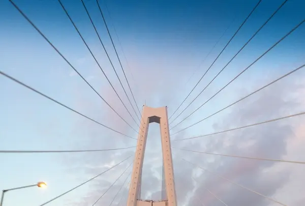 伊勢湾岸自動車道の写真・動画_image_170153