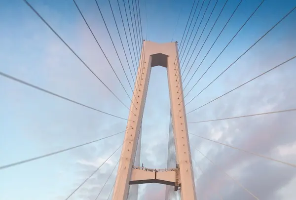 伊勢湾岸自動車道の写真・動画_image_170154