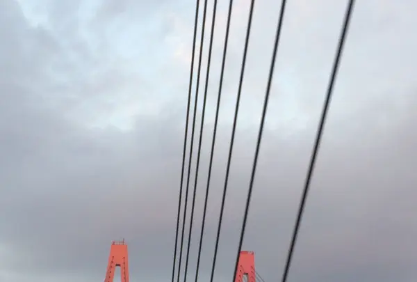 伊勢湾岸自動車道の写真・動画_image_170156